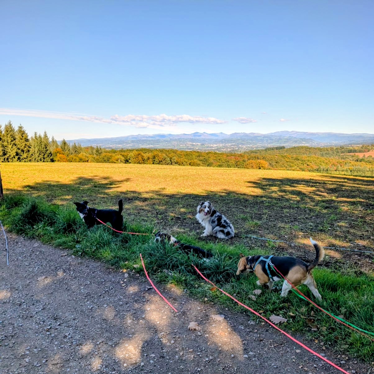 Balade éducative collective cantal
